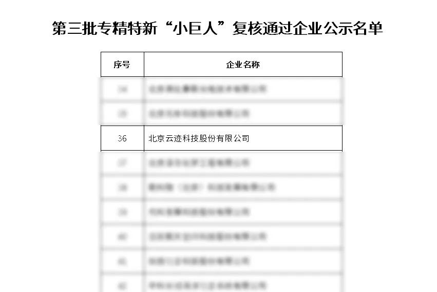 开云电竞科技通过工信部专精特新“小巨人”企业复核
